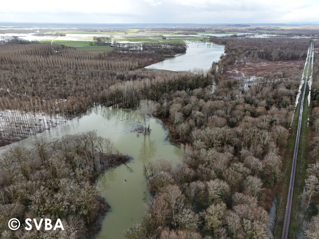 Le site restauré de la Vingeanne à Talmay (SVBA, 17/02/2026)