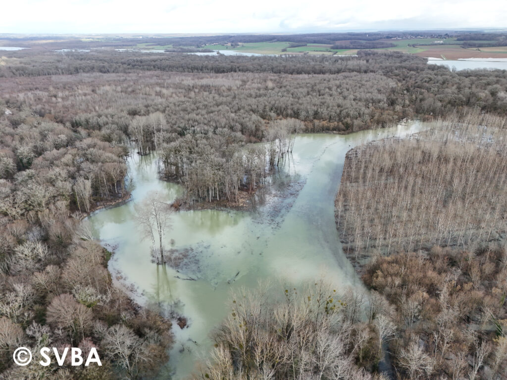 Le site restauré de la Vingeanne à Talmay (SVBA, 17/02/2026)