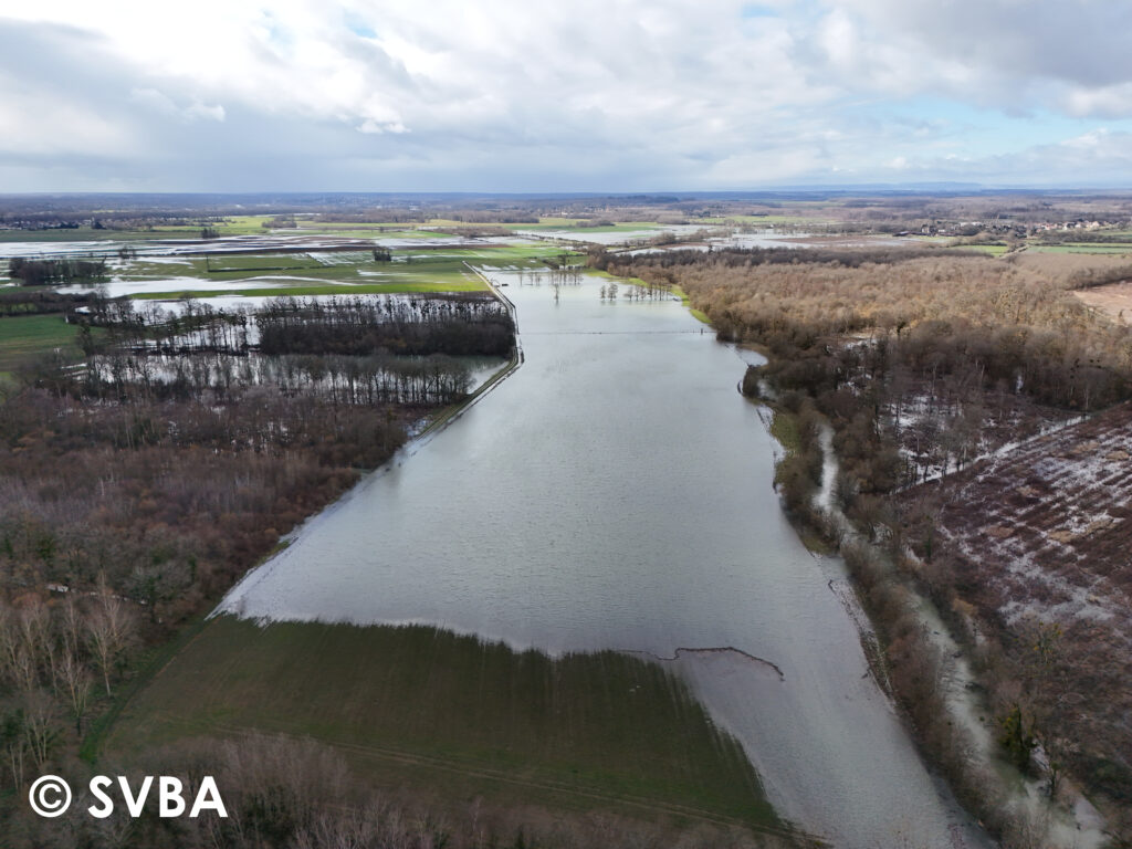 La Vingeanne en amont du site restauré de Talmay (SVBA, 17/02/2026)